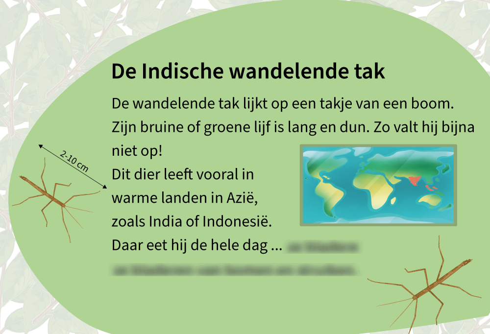 Begrijpend lezen oefenen met Junior Einstein, voorspelopgaven oefenen groep 7