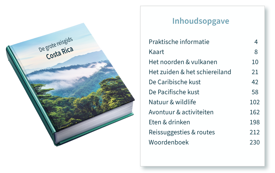 oefen online voor de toetsen van begrijpend lezen